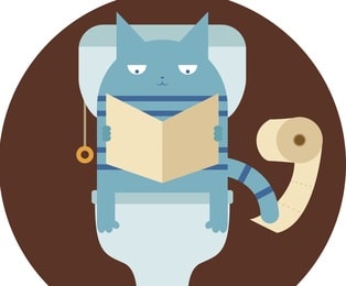 Feline Constipation Cat Grass And Other Remedies Archie Cat