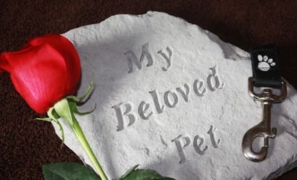 pet memorial