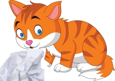 The Reasons Your Cat Is Obsessed With Eating Paper Archie Cat