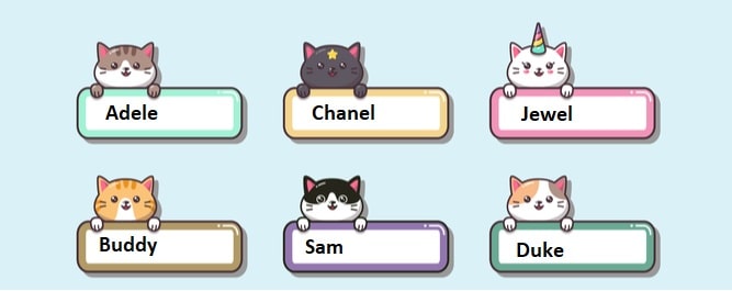 344 Amazing Kitten Names - Archie Cat