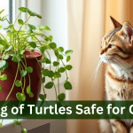 Is String of Turtles Toxic to Cats