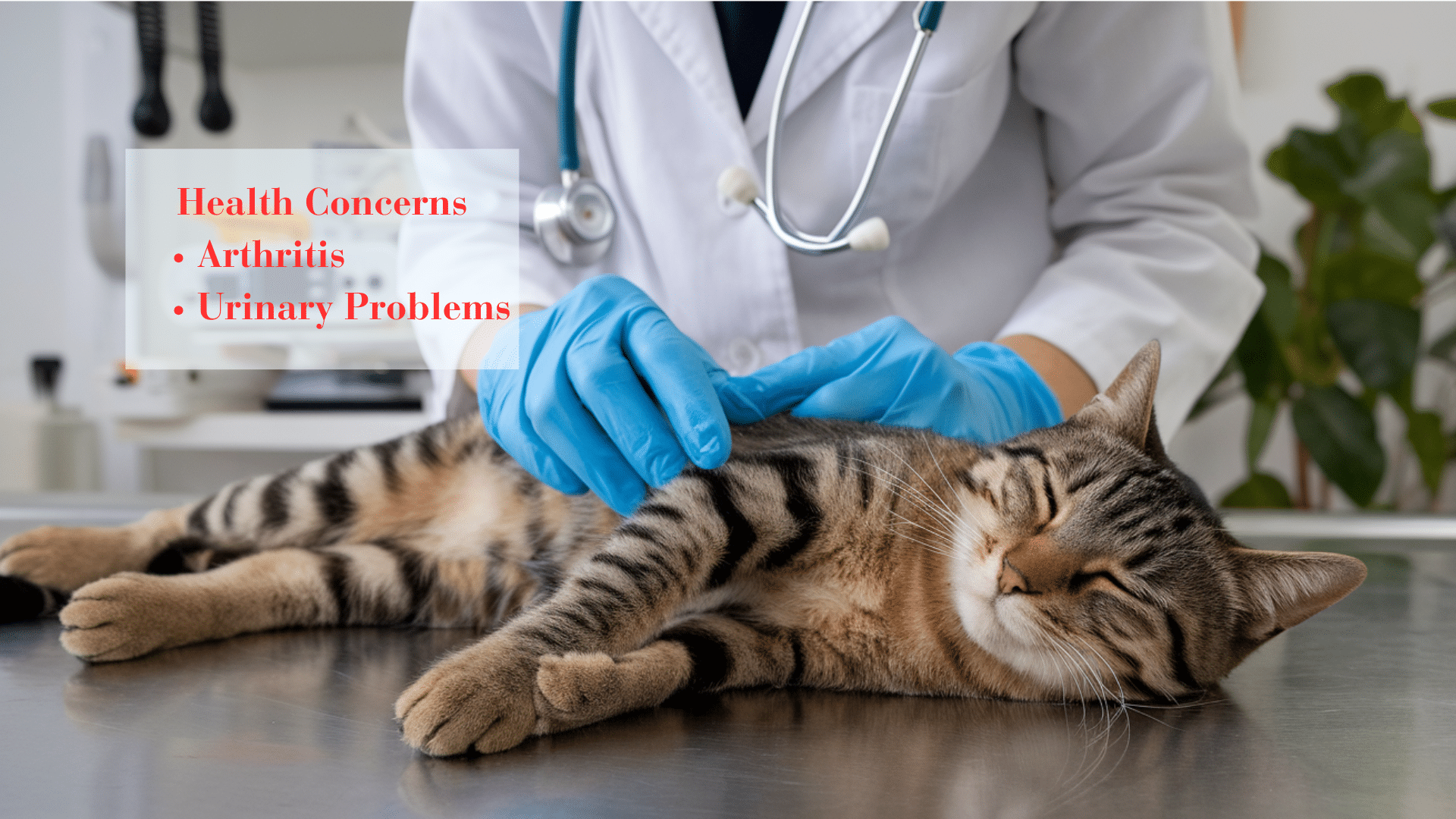 Can_Crying_Be_a_Sign_of_a_Larger_Health_Issue