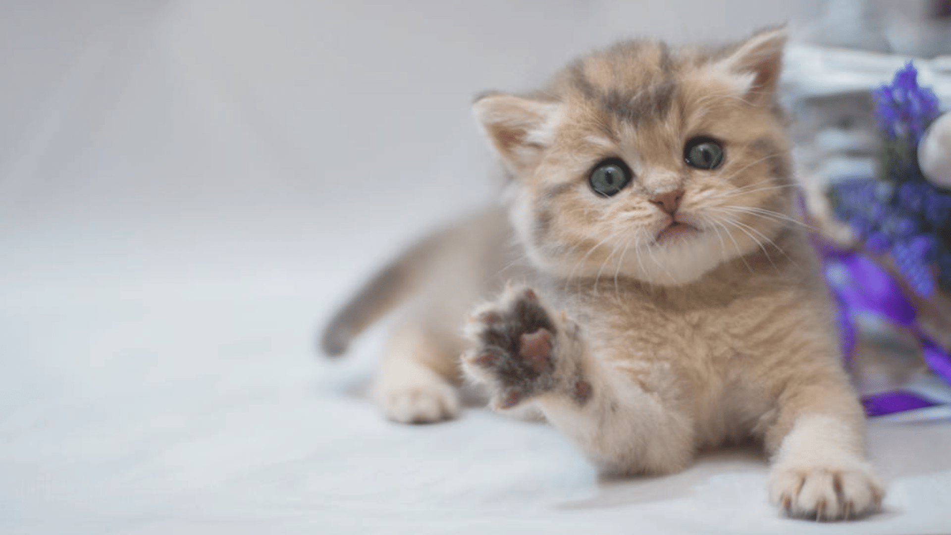 Training_and_Behavioral_Insights