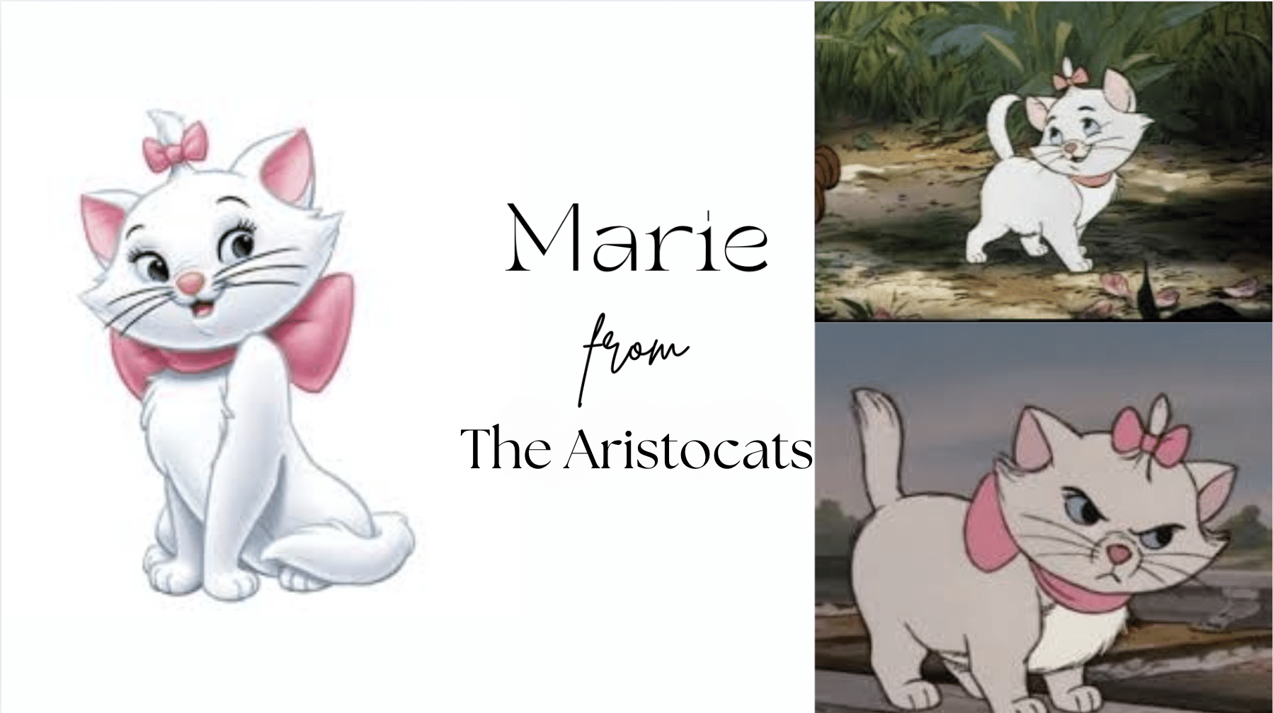 Who_is_Marie_fromThe_Aristocats