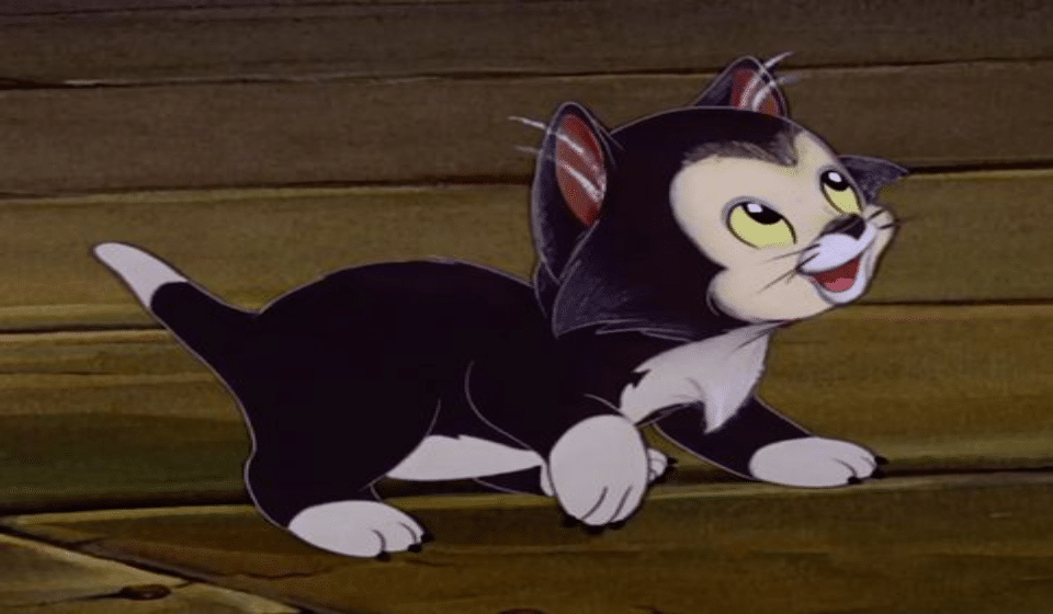 Figaro from Pinocchio