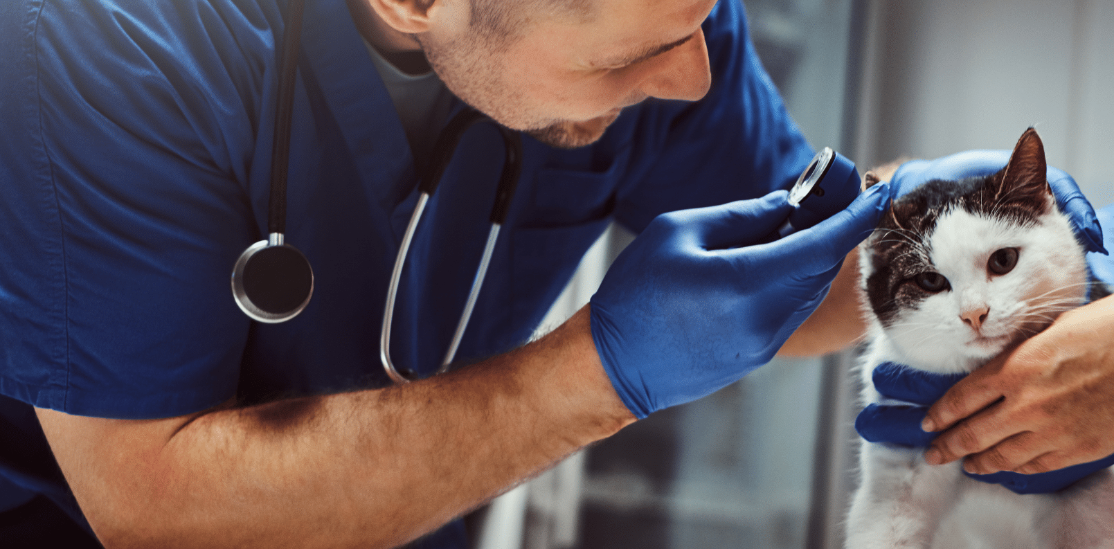 What to Expect During a Routine Checkup
